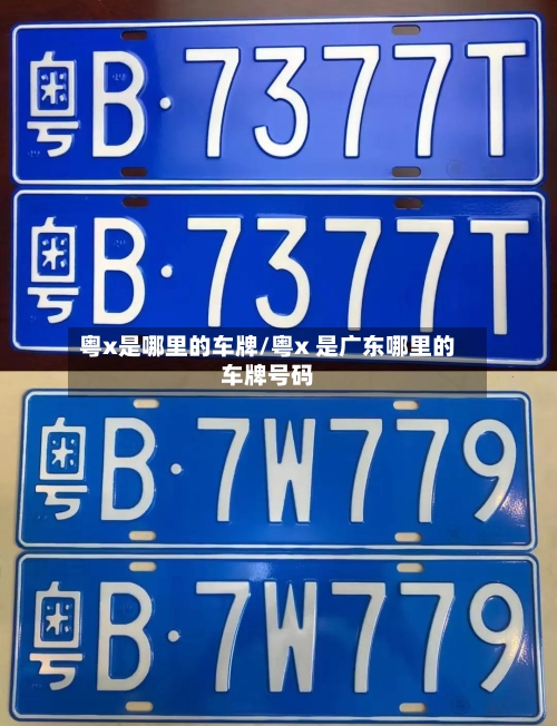 粤x是哪里的车牌/粤x 是广东哪里的车牌号码-第1张图片
