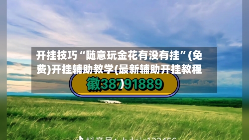 开挂技巧“随意玩金花有没有挂”(免费)开挂辅助教学(最新辅助开挂教程)-第2张图片