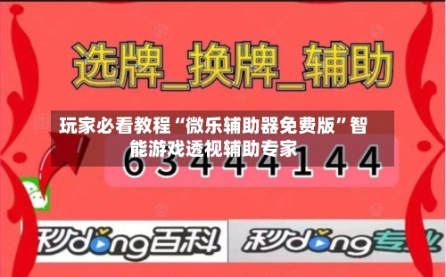 玩家必看教程“微乐辅助器免费版”智能游戏透视辅助专家-第1张图片