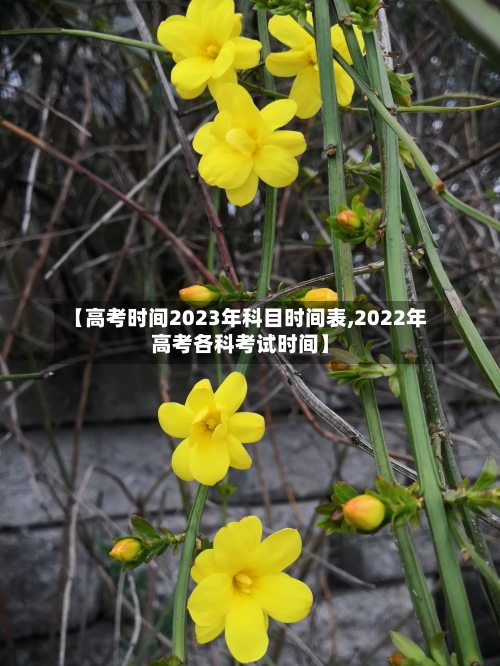 【高考时间2023年科目时间表,2022年高考各科考试时间】-第2张图片