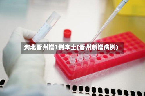 河北晋州增1例本土(晋州新增病例)-第3张图片