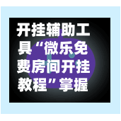 开挂辅助工具“微乐免费房间开挂教程	”掌握辅助功能必胜规则-第2张图片