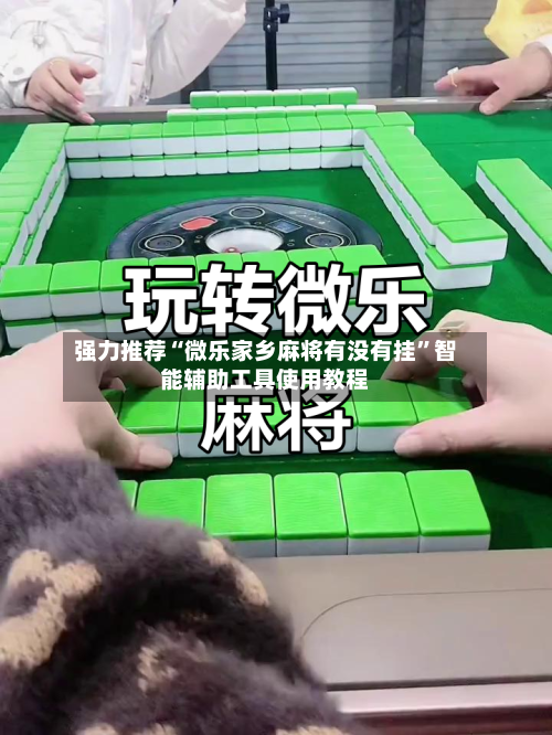 强力推荐“微乐家乡麻将有没有挂”智能辅助工具使用教程-第2张图片