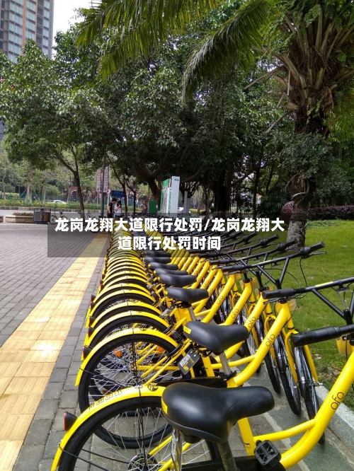 龙岗龙翔大道限行处罚/龙岗龙翔大道限行处罚时间-第2张图片