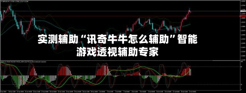 实测辅助“讯奇牛牛怎么辅助”智能游戏透视辅助专家-第3张图片