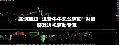 实测辅助“讯奇牛牛怎么辅助”智能游戏透视辅助专家-第2张图片