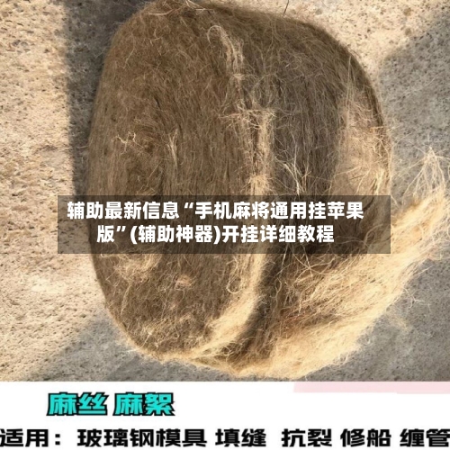 辅助最新信息“手机麻将通用挂苹果版	”(辅助神器)开挂详细教程-第1张图片