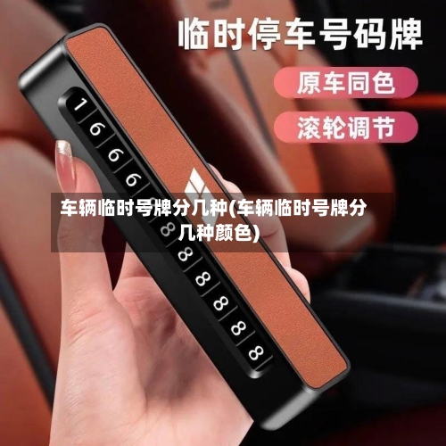 车辆临时号牌分几种(车辆临时号牌分几种颜色)-第2张图片
