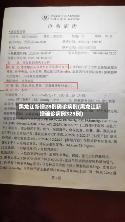 黑龙江新增28例确诊病例(黑龙江新增确诊病例323例)-第2张图片