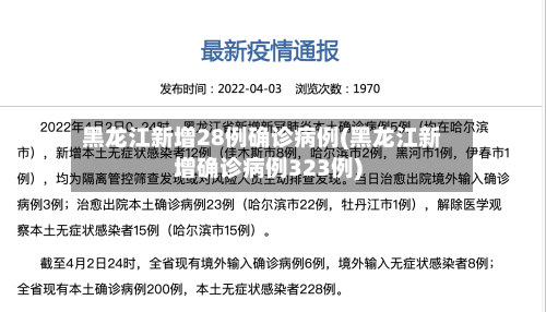 黑龙江新增28例确诊病例(黑龙江新增确诊病例323例)-第1张图片