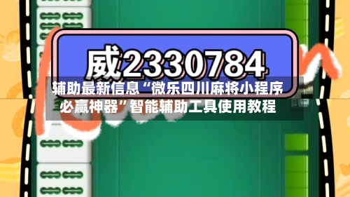辅助最新信息“微乐四川麻将小程序必赢神器	”智能辅助工具使用教程-第3张图片