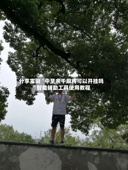 分享实测“中至余干麻将可以开挂吗	”智能辅助工具使用教程-第2张图片