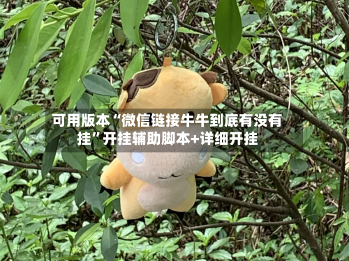 可用版本“微信链接牛牛到底有没有挂”开挂辅助脚本+详细开挂-第3张图片