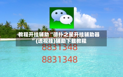 教程开挂辅助“德扑之星开挂辅助器	”(透视挂)辅助下载教程-第2张图片