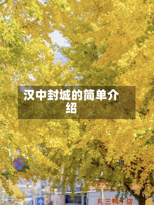 汉中封城的简单介绍-第1张图片