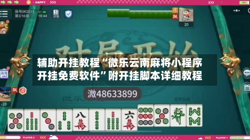 辅助开挂教程“微乐云南麻将小程序开挂免费软件”附开挂脚本详细教程-第3张图片