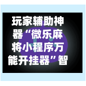 玩家辅助神器“微乐麻将小程序万能开挂器”智能透视稳定辅助-第2张图片