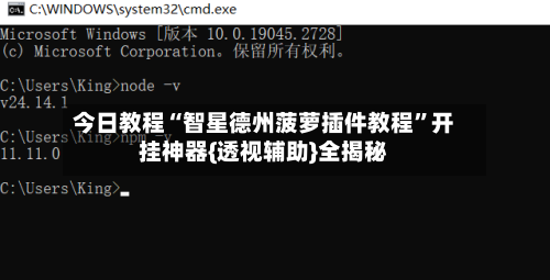 今日教程“智星德州菠萝插件教程”开挂神器{透视辅助}全揭秘-第3张图片