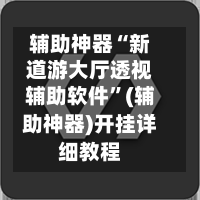 辅助神器“新道游大厅透视辅助软件”(辅助神器)开挂详细教程-第1张图片
