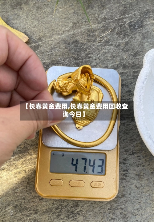 【长春黄金费用,长春黄金费用回收查询今日】-第1张图片