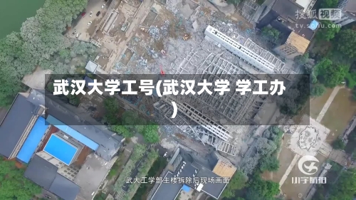 武汉大学工号(武汉大学 学工办)-第1张图片