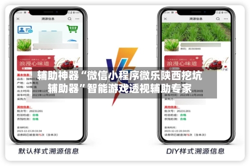 辅助神器“微信小程序微乐陕西挖坑辅助器”智能游戏透视辅助专家-第1张图片