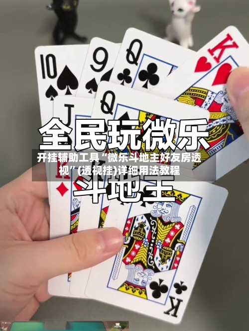 开挂辅助工具“微乐斗地主好友房透视”(透视挂)详细用法教程-第1张图片