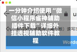 一分钟介绍使用“微信小程序雀神辅助插件下载”详细外挂透视辅助软件教程-第1张图片