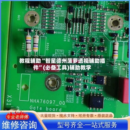 教程辅助“智星德州菠萝透视辅助插件	”(必备工具)辅助教学-第2张图片