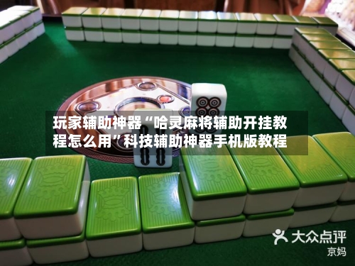 玩家辅助神器“哈灵麻将辅助开挂教程怎么用	”科技辅助神器手机版教程-第2张图片