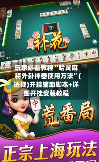 玩家必看教程“哈灵麻将外卦神器使用方法	”(透视)开挂辅助脚本+详细开挂安装教程-第2张图片