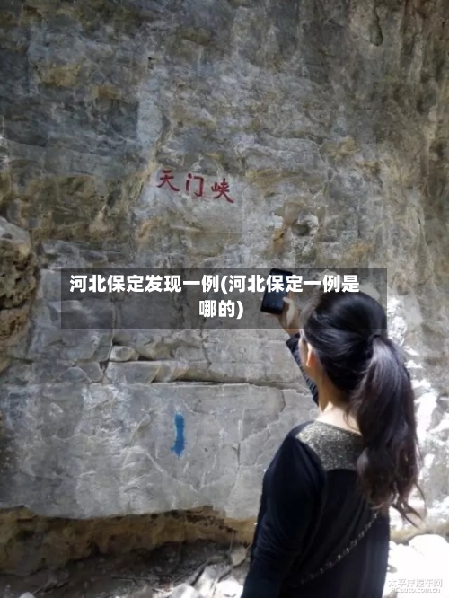 河北保定发现一例(河北保定一例是哪的)-第1张图片