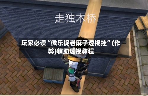 玩家必读“微乐捉老麻子透视挂”(作弊)辅助透视教程-第3张图片