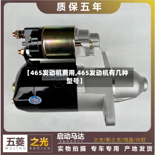 【465发动机费用,465发动机有几种型号】-第2张图片
