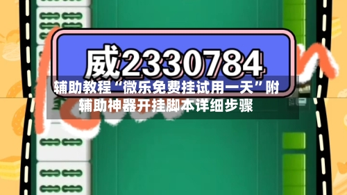 辅助教程“微乐免费挂试用一天”附辅助神器开挂脚本详细步骤-第2张图片