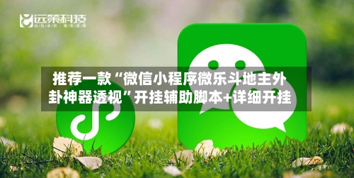 推荐一款“微信小程序微乐斗地主外卦神器透视”开挂辅助脚本+详细开挂-第3张图片