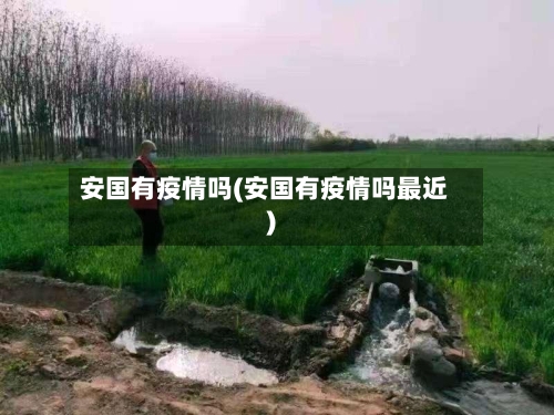 安国有疫情吗(安国有疫情吗最近)-第1张图片