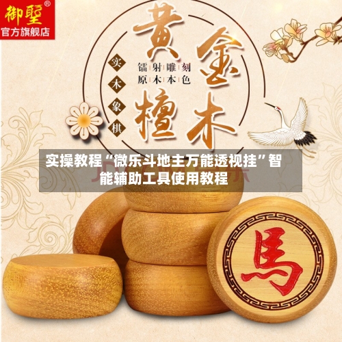 实操教程“微乐斗地主万能透视挂”智能辅助工具使用教程-第3张图片