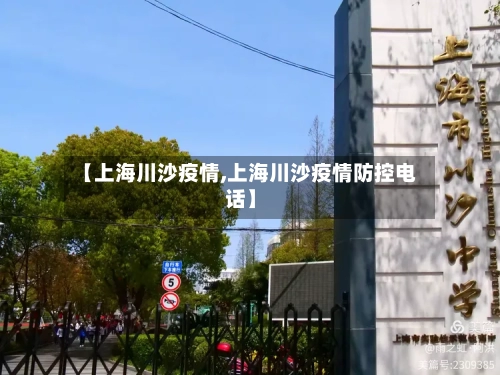 【上海川沙疫情,上海川沙疫情防控电话】-第2张图片