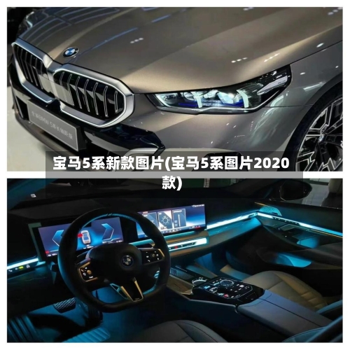 宝马5系新款图片(宝马5系图片2020款)-第1张图片
