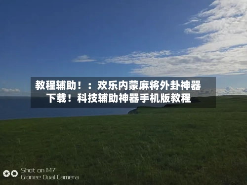 教程辅助！：欢乐内蒙麻将外卦神器下载！科技辅助神器手机版教程-第2张图片