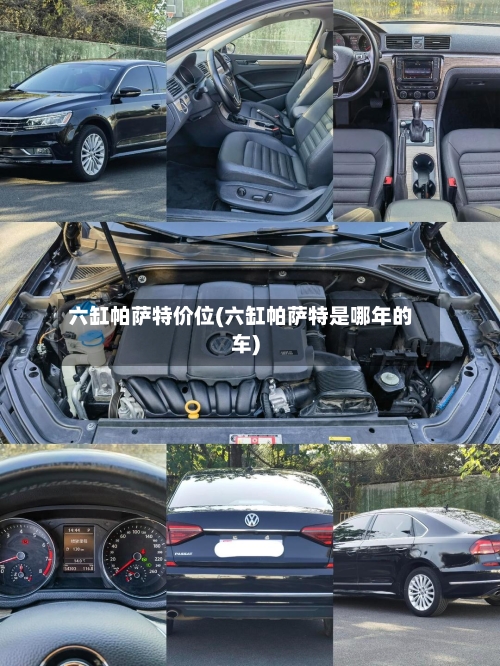 六缸帕萨特价位(六缸帕萨特是哪年的车)-第1张图片