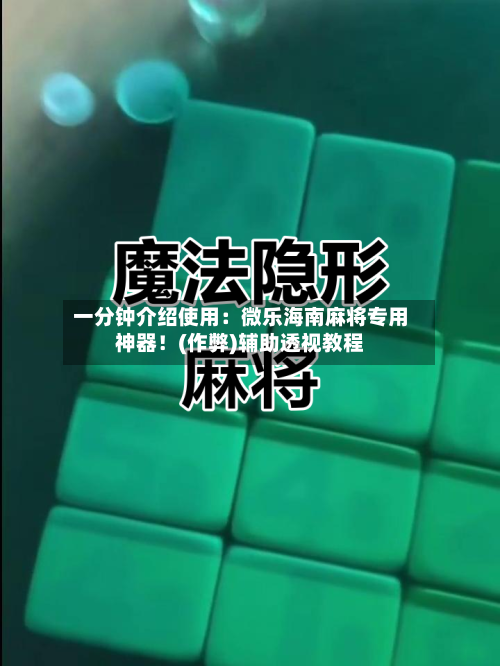 一分钟介绍使用：微乐海南麻将专用神器！(作弊)辅助透视教程-第2张图片