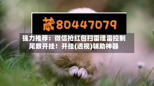 强力推荐：微信抢红包扫雷埋雷控制尾数开挂！开挂(透视)辅助神器-第3张图片