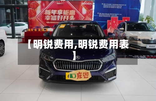 【明锐费用,明锐费用表】-第1张图片