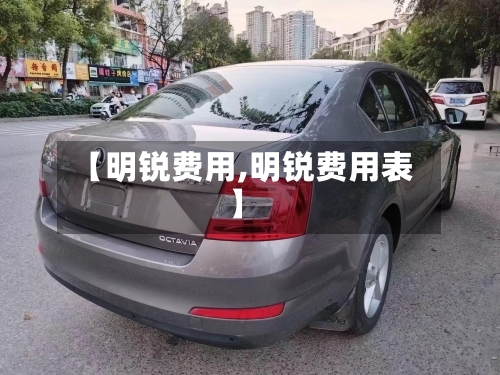 【明锐费用,明锐费用表】-第2张图片