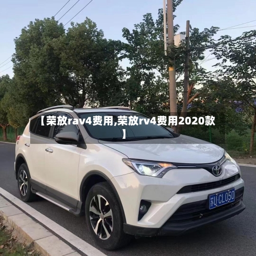 【荣放rav4费用,荣放rv4费用2020款】-第1张图片