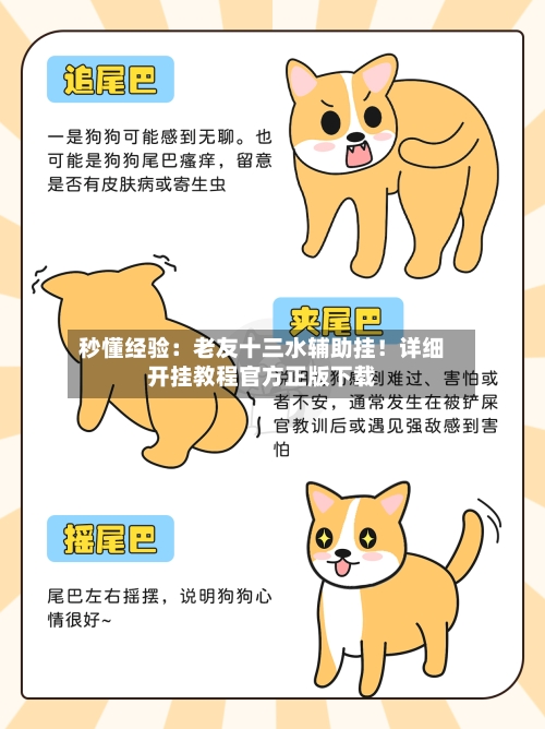 秒懂经验：老友十三水辅助挂！详细开挂教程官方正版下载-第1张图片