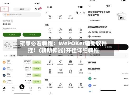 玩家必看教程：WePOKer辅助软件挂！(辅助神器)开挂详细教程-第2张图片