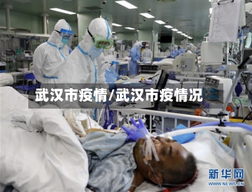 武汉市疫情/武汉市疫情况-第1张图片
